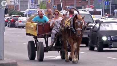 Зачем новосибирские общественники пересаживаются из автомобилей на телегу с лошадью?