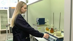 Сибирские учёные создают электроизоляцию из травы