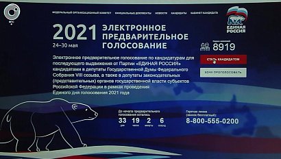 В Новосибирской области подвели итоги праймериз партии "Единая Россия"