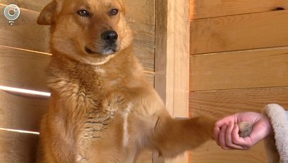 НОВОСТИ УТРА – 28 августа 2025