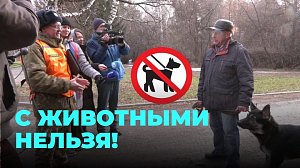 Прогулка в парке обернулась неожиданными испытаниями для владельцев собак