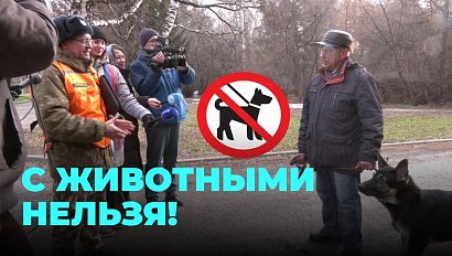 Прогулка в парке обернулась неожиданными испытаниями для владельцев собак