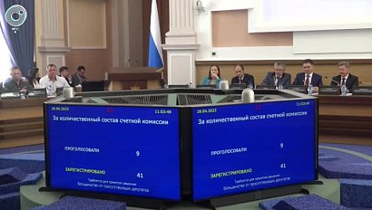 Горсовет лишил полномочий депутатов Сергея Бойко и Хельгу Пирогову