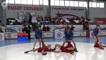 Лучшие школы самбо Новосибирской области: борьба за первенство