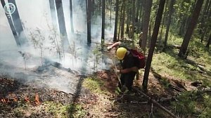 Лесные пожары в Новосибирской области: итоги сезона