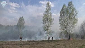 Особый противопожарный режим продлили в Новосибирской области