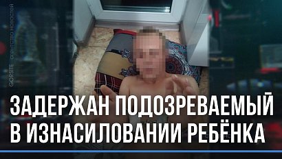 Прятался в Омске: задержан подозреваемый в педофилии