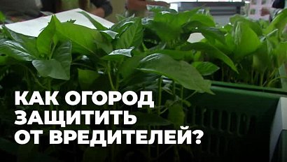 На аграрную выставку приехали садоводы Новосибирской области
