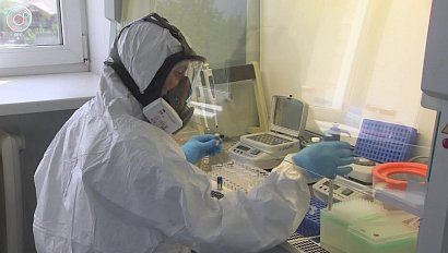 Тестирование на коронавирус в Новосибирской области будет бесплатным. Для кого именно?