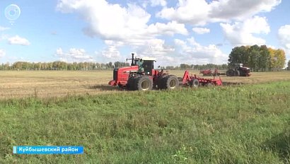 Напряжённо проходит уборочная кампания в Куйбышевском районе