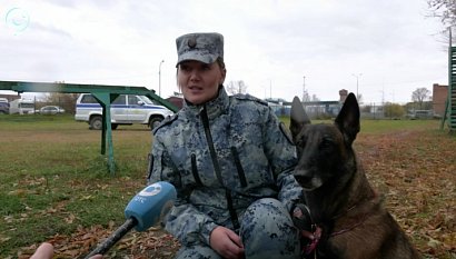 НОВОСТИ в 18:30 – 20 октября 2026