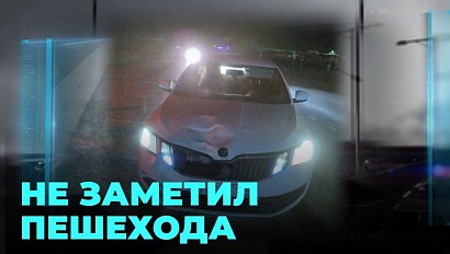 Страшное ДТП в Новосибирском районе