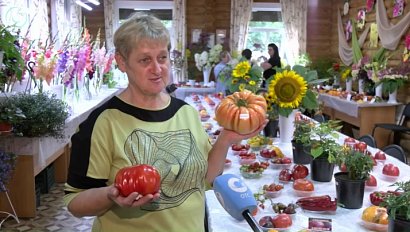 Выставка урожая в Новосибирске удивила гигантскими помидорами