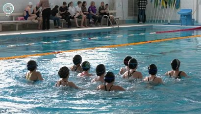 Масштабные соревнования по плаванию прошли в Новосибирске