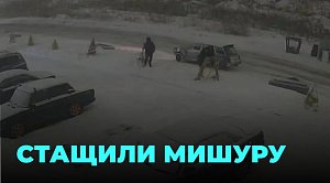 Автохулиганы украли мишуру и украсили ею машину