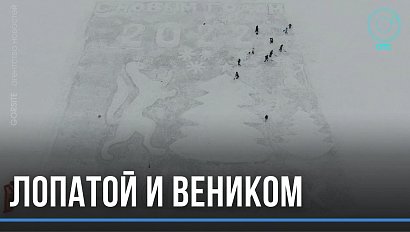 Огромный соболь завёлся в Новосибирске. Символ города стал главным героем снежной открытки