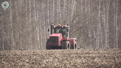 На поля Новосибирской области вышли комбайны. Какие задачи стоят перед аграриями в самом начале посевной кампании?