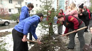 Аллея памяти героев Великой Отечественной преобразилась