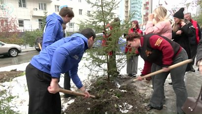 Аллея памяти героев Великой Отечественной преобразилась