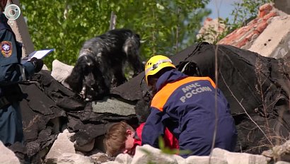 Сложные испытания для четвероногих спасателей: экзамен кинологических расчетов