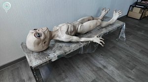 НОВОСТИ в 18:30 – 28 мая 2026
