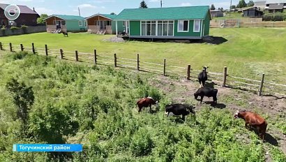 Буготакские сопки: живописный отдых в сибирской глубинке