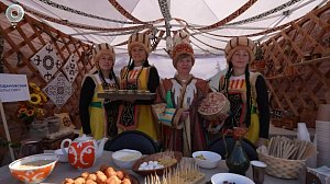 Фестиваль "В единстве народов - сила России" прошёл в Новосибирском районе