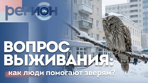 Регион LIFE | Вопрос выживания: как люди помогают зверям? | ОТС LIVE — прямая трансляция