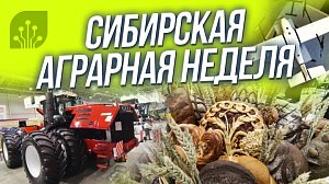 Агропром / Будущее сибирского села | СТРИМ ОТС LIVE — 5 ноября
