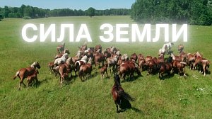 Программа "СИЛА ЗЕМЛИ" | 30 октября 2025 | Телеканал ОТС