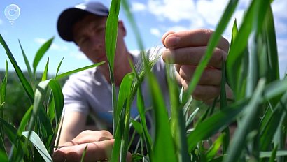 Программа "Научная среда" | 11 июня 2025 | Телеканал ОТС