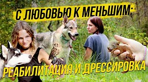С чего начать дрессировку собак и надо ли помогать диким животным? | СТРИМ ОТС LIVE — 15 апреля