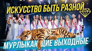 Фантазия и красота без границ | СТРИМ ОТС LIVE — 3 октября