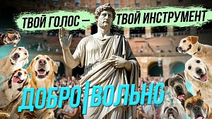 Фильм о судьбах бездомных животных / Говорим красиво и убедительно | СТРИМ ОТС LIVE — 26 сентября