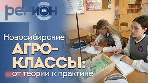 Регион LIFE | Новосибирские агроклассы : от теории к практике | ОТС LIVE — прямая трансляция
