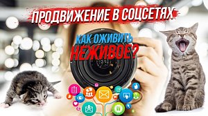 Секрет продвижения в соцсетях / Как сделать предметы звёздами фотокадра | СТРИМ ОТС LIVE — 27 мая