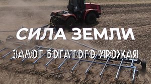 Программа "СИЛА ЗЕМЛИ" | 15 мая 2025 | Телеканал ОТС