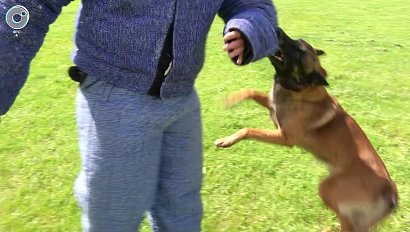 НОВОСТИ УТРА: 19 июня 2020